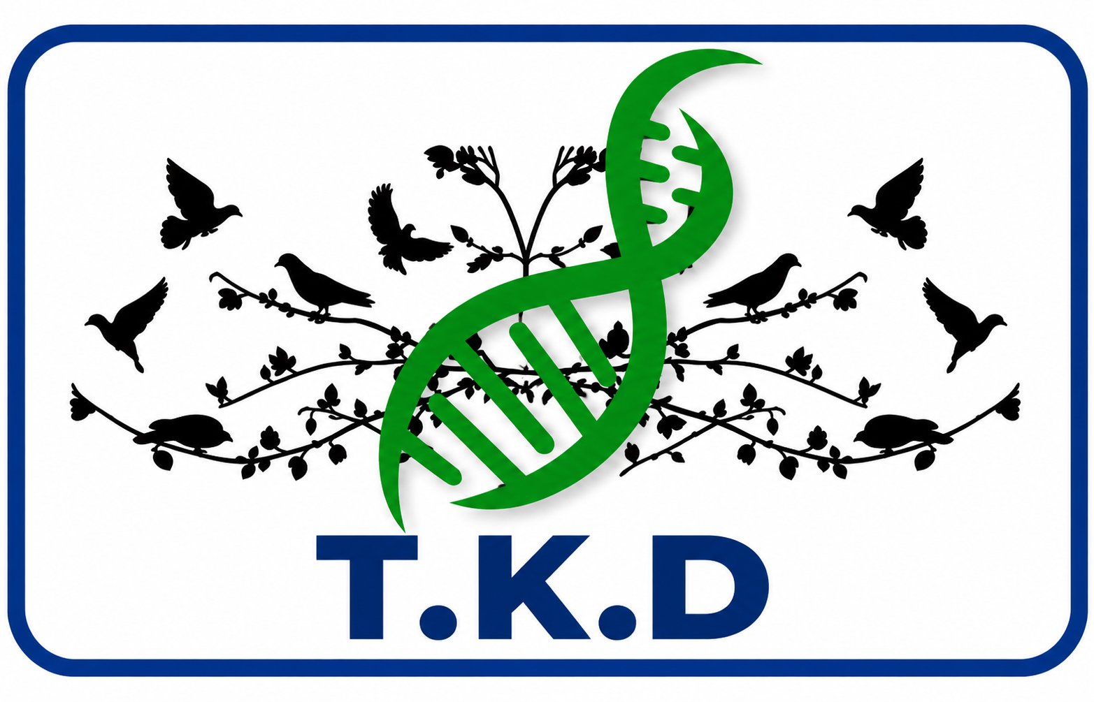 T.K.D 1