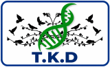 t.k.d